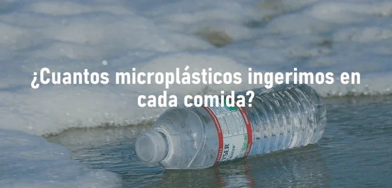 Microplasticos 768x368