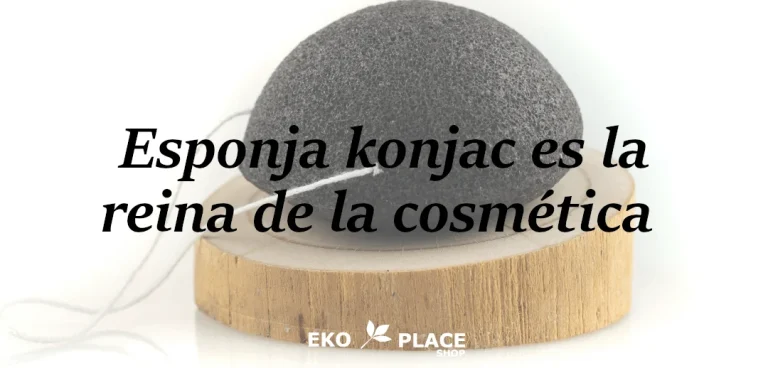 Esponja 768x368