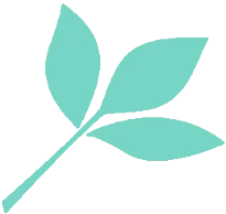 Scroll to top