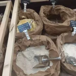 La Pimienta Dorada