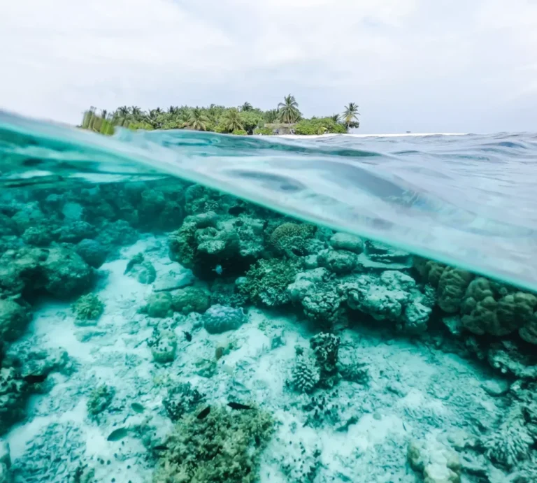 n seefromthesky 8qeuawm txg unsplash scaled q16vy2xm5ha2gdxffyptupvk2k3mqiy412ldf247jc